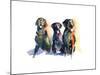 Three Black Labs, 2015-John Keeling-Mounted Giclee Print