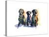 Three Black Labs, 2015-John Keeling-Stretched Canvas