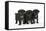 Three Black Pug Puppies (6 Weeks Old)-null-Framed Stretched Canvas