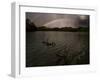 Three Black Swans on a Lake During a Storm in Ibirapuera Park, Sao Paulo, Brazil-Alex Saberi-Framed Photographic Print