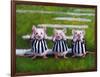 Three Blind Mice-Lucia Heffernan-Framed Art Print