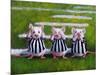 Three Blind Mice-Lucia Heffernan-Mounted Art Print