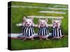 Three Blind Mice-Lucia Heffernan-Stretched Canvas