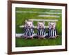 Three Blind Mice-Lucia Heffernan-Framed Art Print