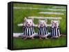 Three Blind Mice-Lucia Heffernan-Framed Stretched Canvas