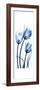 Three Blue Tulips-Albert Koetsier-Framed Premium Giclee Print