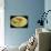 Three Books-Vincent van Gogh-Mounted Photographic Print displayed on a wall