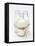 Three Bottles of Cream Tied with Kitchen String-Sandra Eckhardt-Framed Stretched Canvas