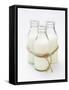 Three Bottles of Cream Tied with Kitchen String-Sandra Eckhardt-Framed Stretched Canvas