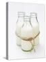 Three Bottles of Cream Tied with Kitchen String-Sandra Eckhardt-Stretched Canvas