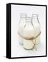 Three Bottles of Cream Tied with Kitchen String-Sandra Eckhardt-Framed Stretched Canvas