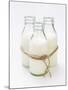 Three Bottles of Cream Tied with Kitchen String-Sandra Eckhardt-Mounted Photographic Print