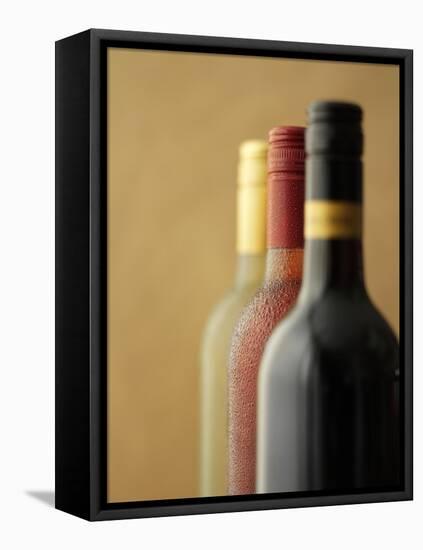 Three Bottles of Wine: Red Wine, Rose Wine and White Wine-Ian Garlick-Framed Stretched Canvas