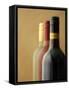 Three Bottles of Wine: Red Wine, Rose Wine and White Wine-Ian Garlick-Framed Stretched Canvas
