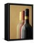 Three Bottles of Wine: Red Wine, Rose Wine and White Wine-Ian Garlick-Framed Stretched Canvas