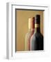 Three Bottles of Wine: Red Wine, Rose Wine and White Wine-Ian Garlick-Framed Photographic Print