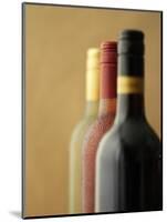 Three Bottles of Wine: Red Wine, Rose Wine and White Wine-Ian Garlick-Mounted Photographic Print