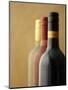 Three Bottles of Wine: Red Wine, Rose Wine and White Wine-Ian Garlick-Mounted Photographic Print