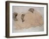 Three Boulders-Auguste Rodin-Framed Giclee Print