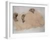 Three Boulders-Auguste Rodin-Framed Giclee Print