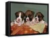 Three Boxer Puppies, USA-Lynn M. Stone-Framed Stretched Canvas