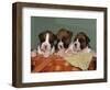 Three Boxer Puppies, USA-Lynn M. Stone-Framed Premium Photographic Print