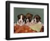 Three Boxer Puppies, USA-Lynn M. Stone-Framed Premium Photographic Print