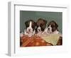 Three Boxer Puppies, USA-Lynn M. Stone-Framed Premium Photographic Print