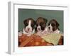 Three Boxer Puppies, USA-Lynn M. Stone-Framed Photographic Print