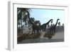 Three Brachiosaurus Dinosaurs Grazing-null-Framed Art Print