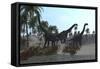 Three Brachiosaurus Dinosaurs Grazing-null-Framed Stretched Canvas