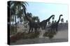 Three Brachiosaurus Dinosaurs Grazing-null-Stretched Canvas