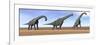 Three Brachiosaurus Dinosaurs Standing in the Desert-null-Framed Premium Giclee Print