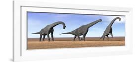 Three Brachiosaurus Dinosaurs Standing in the Desert-null-Framed Art Print