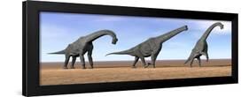 Three Brachiosaurus Dinosaurs Standing in the Desert-null-Framed Art Print