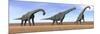 Three Brachiosaurus Dinosaurs Standing in the Desert-null-Mounted Art Print