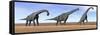 Three Brachiosaurus Dinosaurs Standing in the Desert-null-Framed Stretched Canvas