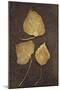 Three Brown Autumn or Winter Leaves of Ivy or Hedera Helix Lying on Rusty Metal Sheet-Den Reader-Mounted Photographic Print