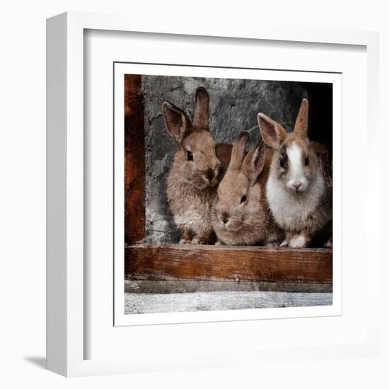 Three Buddies-Marcus Prime-Framed Art Print