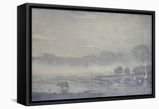 Three buffalo, 2017 etching and aquatint on paper-Angus Hampel-Framed Stretched Canvas