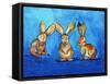 Three Bunnies-Karrie Evenson-Framed Stretched Canvas