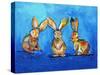 Three Bunnies-Karrie Evenson-Stretched Canvas