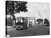 Three Buses at Once!-null-Stretched Canvas