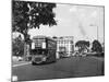 Three Buses at Once!-null-Mounted Photographic Print