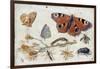 Three Butterflies, a Beetle and Other Insects, with a Cutting of Ragwort, Early 1650S-Jan van Kessel-Framed Giclee Print