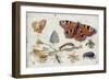 Three Butterflies, a Beetle and Other Insects, with a Cutting of Ragwort, Early 1650S-Jan van Kessel-Framed Premium Giclee Print