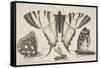 Three Butterflies and a Wasp-Wenceslaus Hollar-Framed Stretched Canvas