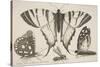 Three Butterflies and a Wasp-Wenceslaus Hollar-Stretched Canvas