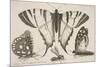 Three Butterflies and a Wasp-Wenceslaus Hollar-Mounted Giclee Print