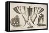 Three Butterflies and a Wasp-Wenceslaus Hollar-Framed Stretched Canvas